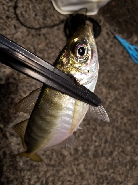 20171128_170241