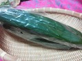 KIMG0109