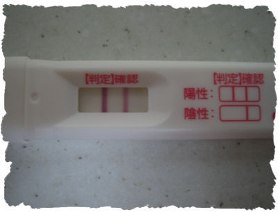 双子 検査薬陰性だった