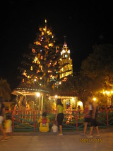 81f28116.JPG