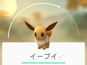 イーブイ ポケモンGO