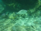 RIMG0197-1