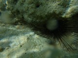 RIMG0189-1