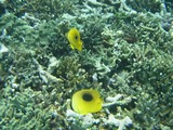 RIMG0303-1