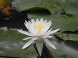 DSCN1549