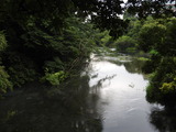 DSCN1577