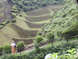 DSCN1544