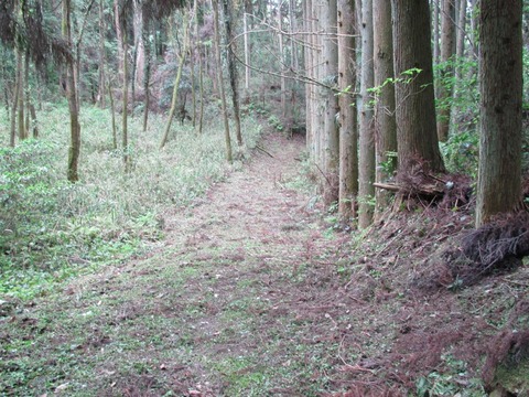 th_IMG_1750