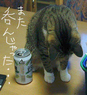 33c0135f.jpg