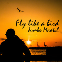 Fly like a birdジャケ