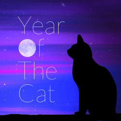 The Sunshine Orchestra Year of the Cat