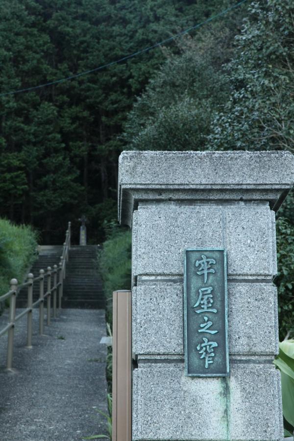8b6a2775.jpg