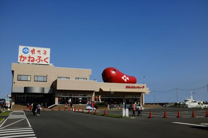 8cb79b46.jpg
