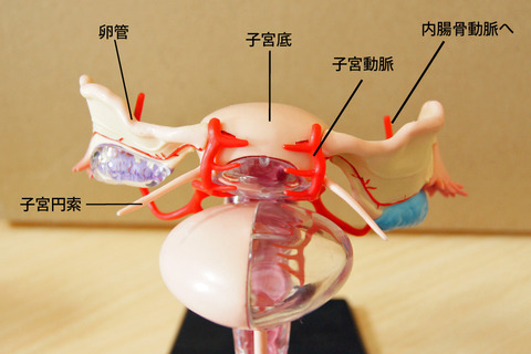 8cd8eb9a-s.jpg