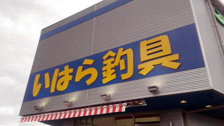 IMAG4626