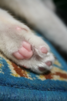どう?