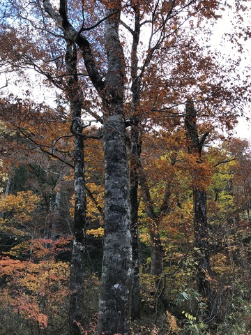 IMG_6076~photo