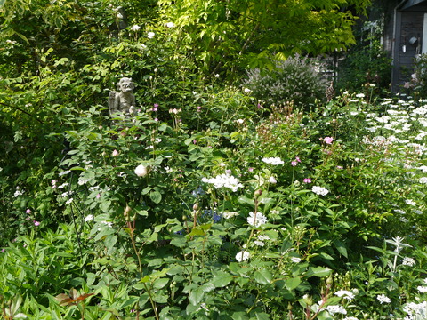 P1150911