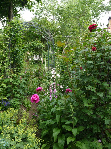 P1150930