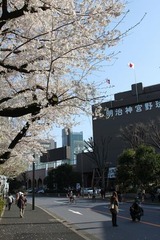 神宮球場のバックスクリーン裏あたりにて