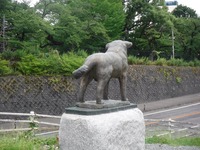 DSCF1060