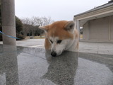 DSCF4259