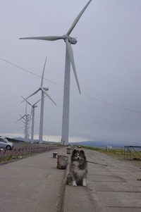 IMGP0062