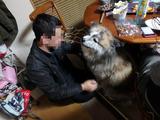 BlogPaint