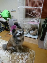 IMG_20170823_194613