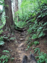 DSCF1034