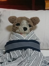 IMG_20170117_230823