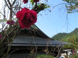 005 (2)