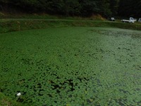 DSCF1107