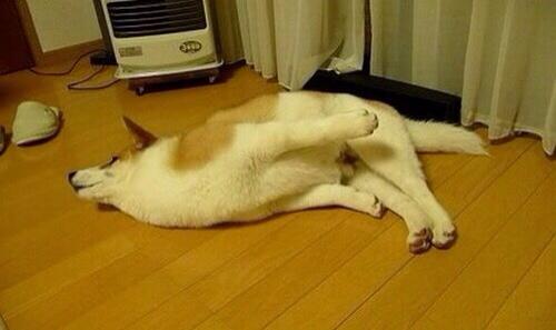 ȋȑqZ 237rڔLKCWuX [f]ڋ֎~]©bbspink.com	YouTube>1{ ->摜>3567 