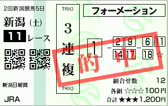 170812新潟11R