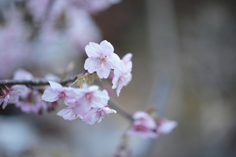 resize0140