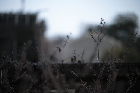 resize0143