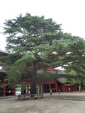 P1110218