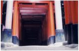 864d0c8e.jpg