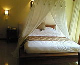c576184f.jpg