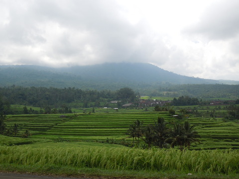 DSCN4924