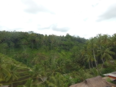 DSCN1554