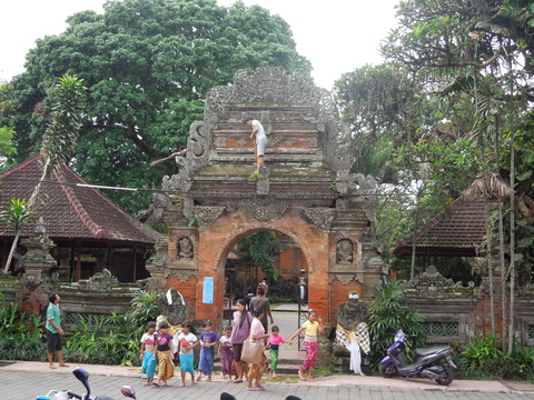 DSCN5071