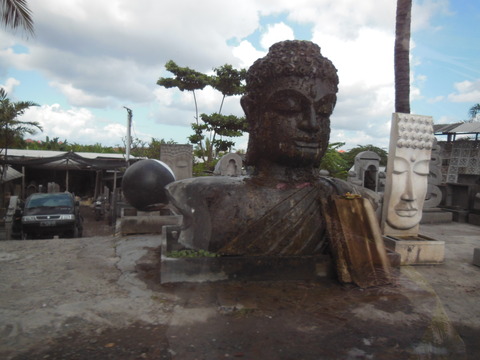 DSCN7007