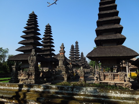 DSCN4981