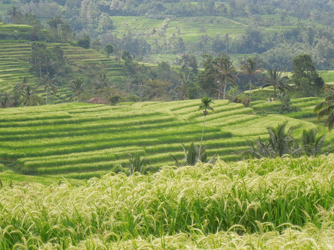 DSCN4908