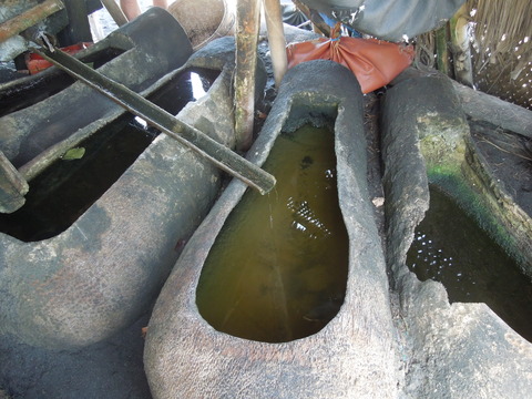 DSCN9747
