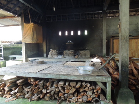DSCN5008