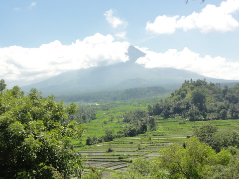 DSC00337