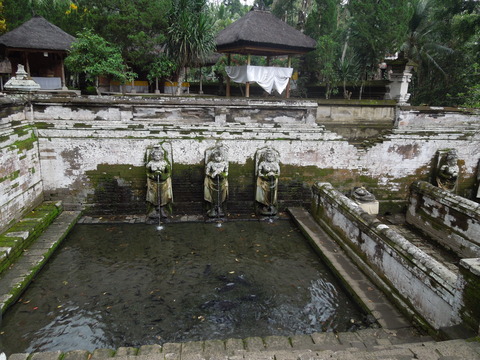 DSCN5102